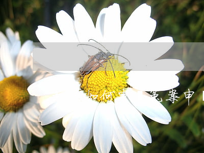 冤案如何申訴(冤案申訴書怎么寫)