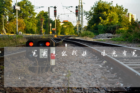 冤案怎么找媒體曝光(有冤情怎么找媒體曝光)