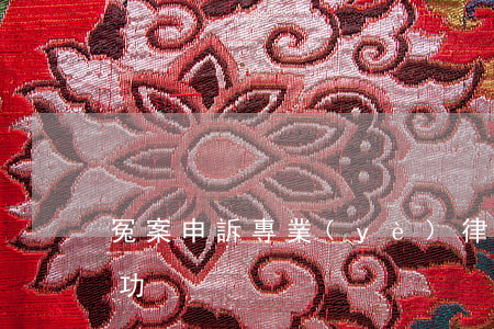 冤案申訴專業(yè)律師(冤案怎么申訴成功)