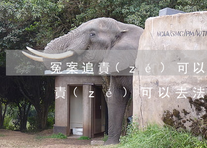 冤案追責(zé)可以去法院上訴嗎(冤案追責(zé)可以去法院上訴嗎)