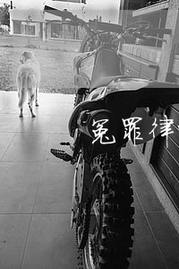 冤罪律师豆瓣评分(心冤豆瓣评分)