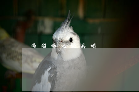冯绍峰倪妮离婚