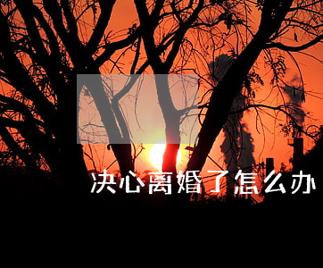 决心离婚了怎么办