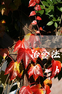 冶金法律法規(guī)標(biāo)準(zhǔn)清單(最新適用法律法規(guī),標(biāo)準(zhǔn)清單有哪些)