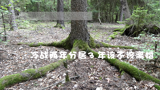 冷战两年分居3年该不该离婚