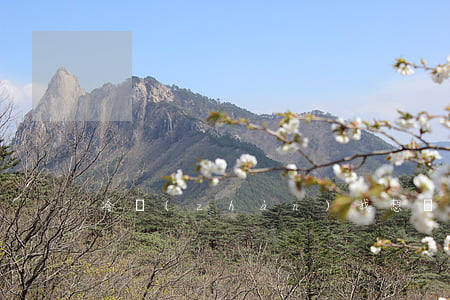 冷戰(zhàn)我想離婚怎么辦