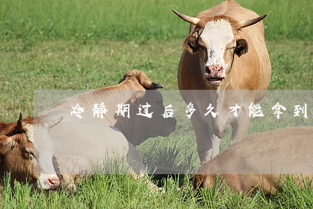 冷静期过后多久才能拿到离婚证