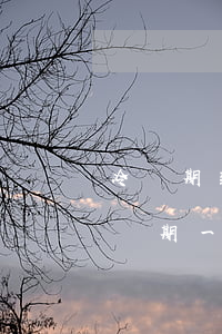 冷靜期到時(shí)一方不去能離婚嗎(冷靜期一方不離婚咋辦)