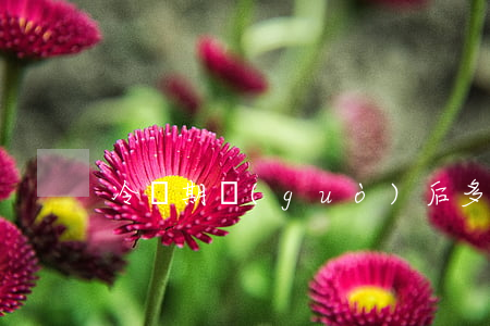 冷靜期過(guò)后多久才能拿到離婚證