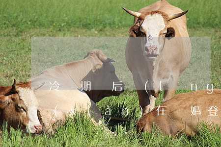 冷靜期過后領(lǐng)離婚證要多久(現(xiàn)在離婚登記要冷靜期嗎?)