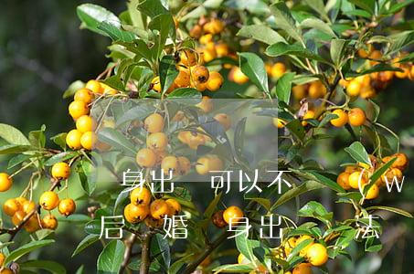 凈身出戶可以不還網(wǎng)貸嘛(欠債后離婚凈身出戶違法嗎)