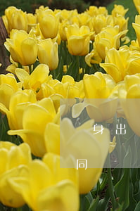 凈身出戶后是否還需承擔(dān)夫妻共同債務(wù)