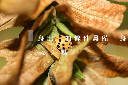 凈身出戶的條件具備(凈身出戶有法律依據(jù)嗎)