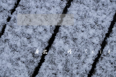 凈身出戶離婚協(xié)議