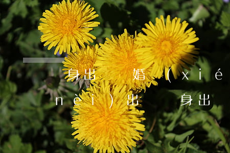 凈身出戶離婚協(xié)議書(男方婚內(nèi)出軌凈身出戶離婚協(xié)議書)