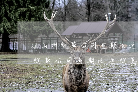 凉山州烟草公司逾期没送烟怎么办-凉山州烟草公司逾期没送烟怎么办啊