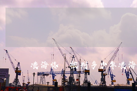 凌海佟剛被判多少年(凌海佟剛圖片)