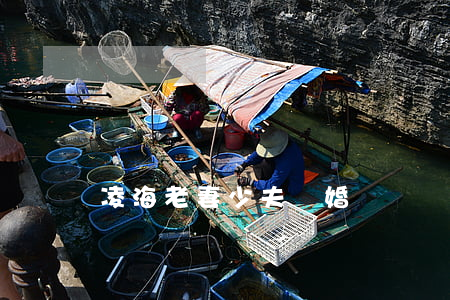 凌海老妻少夫離婚