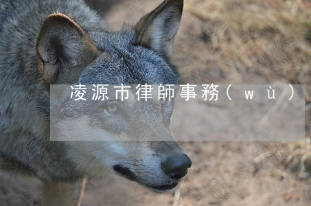 凌源市律師事務(wù)所星期六上班嗎
