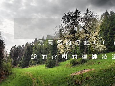 凌源有名的打經(jīng)濟(jì)糾紛的官司的律師(凌源最有名的律師是誰)