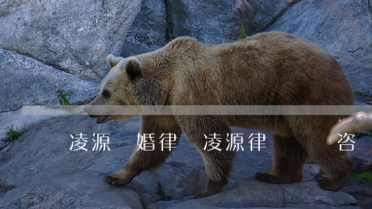 凌源離婚律師(凌源律師電話咨詢)