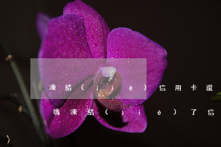 凍結(jié)信用卡還能協(xié)商嗎(凍結(jié)了信用卡還能還款嗎)