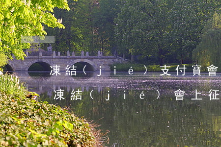 凍結(jié)支付寶會不會起訴-支付寶凍結(jié)會上征信嗎