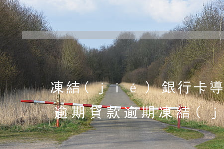 凍結(jié)銀行卡導(dǎo)致房貸逾期(貸款逾期凍結(jié)銀行卡嗎)