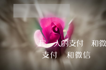 凍結起訴人的支付寶和微信可以嗎-起訴能凍結支付寶和微信嗎