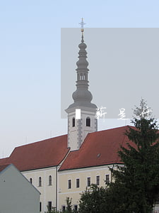 凍薪是什么意思(凍資什么意思)