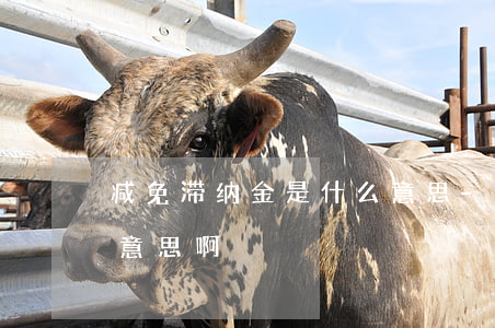 减免滞纳金是什么意思-减免滞纳金是什么意思啊