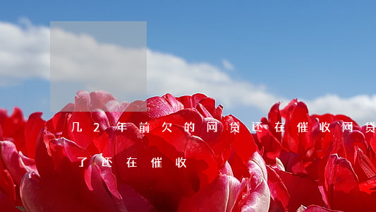 几2年前欠的网贷还在催收(网贷逾期好几年了还在催收)