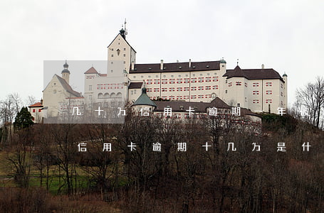 几十万信用卡逾期一年被起诉后果会怎么样（信用卡逾期十几万是什么后果）