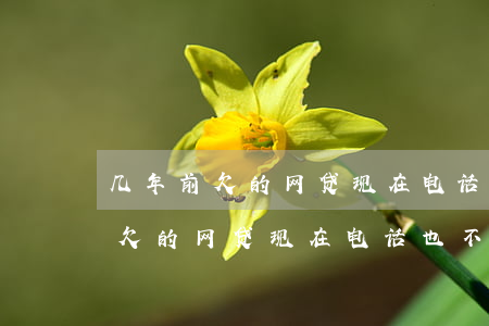 几年前欠的网贷现在电话也不打了-几年前欠的网贷现在电话也不打了怎么办