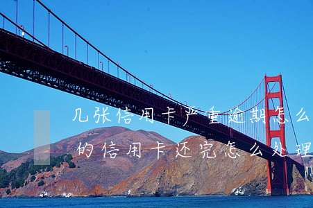 几张信用卡严重逾期怎么还款合适(逾期几年的信用卡还完怎么处理)