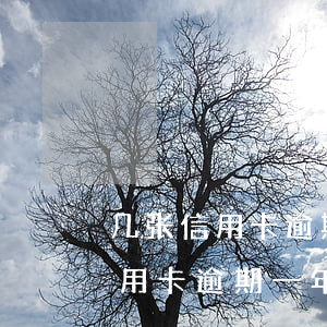 几张信用卡逾期一年无力还怎么办-几张信用卡逾期一年无力还怎么办呢