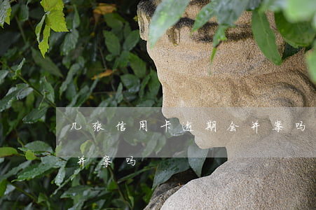 几张信用卡逾期会并案吗(几张信用卡逾期会并案吗)