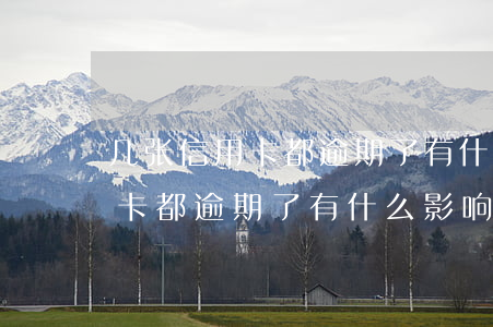 几张信用卡都逾期了有什么影响-几张信用卡都逾期了有什么影响吗