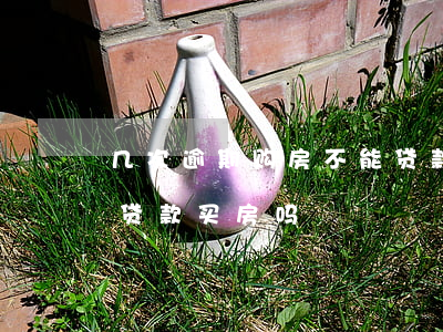 几次逾期购房不能贷款(发生过一次逾期可以贷款买房吗)