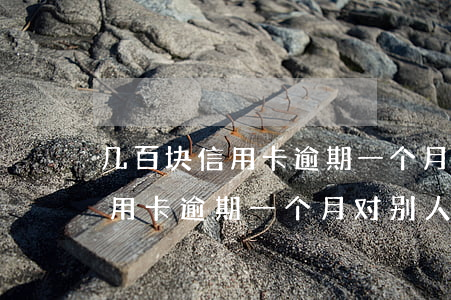 几百块信用卡逾期一个月会不会影响征信（信用卡逾期一个月对别人有影响吗）