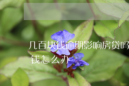 几百块钱逾期影响房贷吗(房贷逾期了几十块钱怎么办)