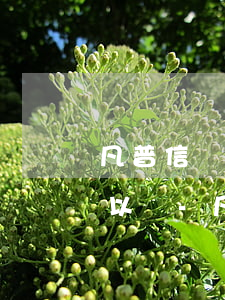 凡普信貸協(xié)商還款打官方電話可以嗎-凡普信貸協(xié)商還款打官方電話可以嗎是真的嗎