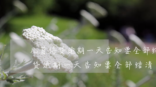 凡普信贷逾期一天告知要全部结清-凡普信贷逾期一天告知要全部结清怎么办