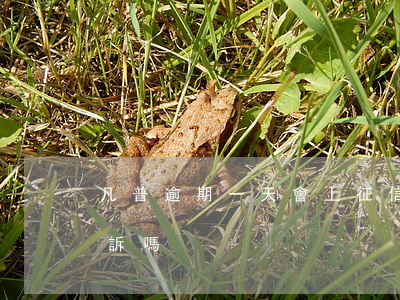 凡普逾期一天會上征信嗎?（凡普信貸逾期會起訴嗎）