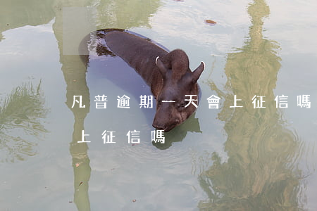凡普逾期一天會上征信嗎?（凡普信逾期上門會上征信嗎）