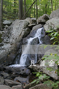 凡普金科小凡分期逾期 凡普金科貸款