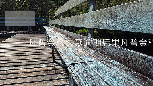 凡普金科貸款逾期后果(凡普金科不催款了)