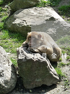 凡普金科逾期律師函(凡普金科逾期二年咋辦)