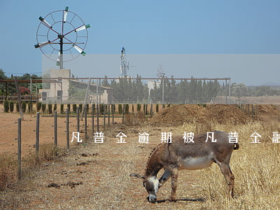 凡普金逾期(被凡普金融起訴是真的嗎)