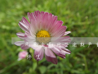凤凰金融网贷逾期严重(凤凰金融网贷为什么停售)